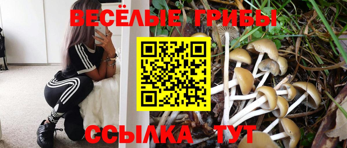 Псилоцибиновые грибы мухоморы  Вход с VPN  Елец 